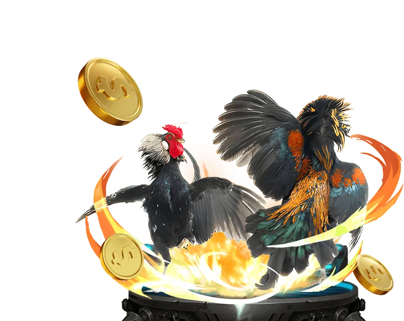 Lợi ích khi chơi đá gà tại ev99